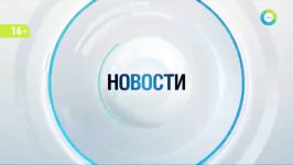 Воронежский Хатико Пес вторую неделю ждет хозяина у дверей больницы  МИР 24