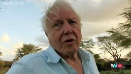 Top 10 David Attenborough Moments