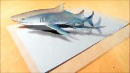Drawing a 3D Gray Shark Trick Art Amazing Animals