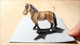 Drawing a 3D Horse Trick Art