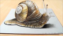 How to Draw 3D Snail  Drawing 3D Snail  Trick Art on Paper