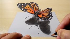 Drawing Butterfly  How to Draw 3D Butterfly  Magical Art on Paper