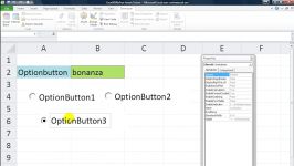 ActiveX Series #3 Option buttons  Use on a sheet How to group Select with VBA