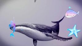 زیر نویس فارسی آهنگ نهنگ آبی blue whale song with Persian subtitles