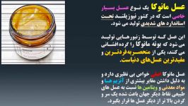 خواص عسل مانوکا ماده ای معجزه می کند