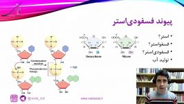 آموزش مفهومی زیست کنکور، زیست دوازدهم، مولکول های اطلاعاتی نوکلئوتید