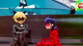 Miraculous Ladybug Crossing Field