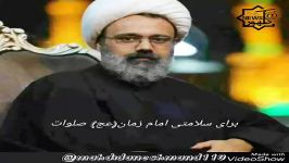 گاهی انسانیت مهمتر مذهبهاستاد دانشمند