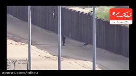 مجروحیت دو دختر نوجوان هنگام پرش روی دیوار مرزی بین مکزیک آمریکا