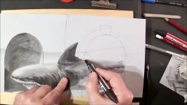 Drawing Great White Shark in 3D  Magical Artistic Drawing