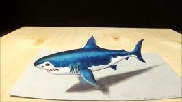 Drawing 3D Shark  How to Draw 3D Megalodon Shark  Awesome Trick Art