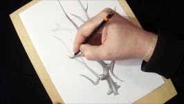 Art 3D Drawing Old Tree  How to Draw 3D Tree with Pencil