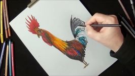 Drawing Anamorphic Rooster for Kids Adults  How to Draw 3D Rooster