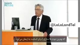 این پرفسور اسرائیلی حرفهای درباره اسلام پیامبر زد، کشور اسرائیل را در شو