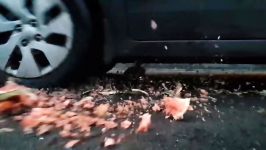 EXPERIMENT LIQUID NITROGEN VS WATERMELON