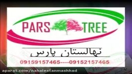 فروش درخت میوه در کرج  نهالستان پارس 09152157465