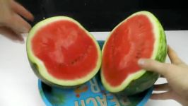 9 SIMPLE LIFE HACKS WITH WATERMELON