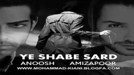 Anoosh Ft. Amir ZadhooshPour  Ye Shabe Sard