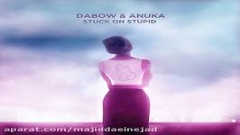 آهنگ Dabow Anuka به نام Stuck On Stupid