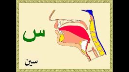 مخارج الحروف العربیة أسمائها بالرسم التوضیحی