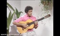 خوان مارتین بولریا la guitarra flamenca  Juan Martin