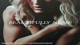 آهنگ Ellie Goulding به نام Beautifully Numb