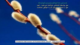 روش بسیار ره گشا برای فرار فتنه