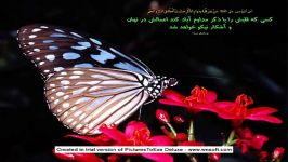 میخوای توی خلوت هم بنده خالص خدا باشی ...