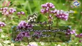 نور وحى مشارى عفاسى  سوره الرحمن‬‬‬‬‬‬