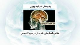 ‮کشف تازه پژوهشگران آمریکایی در جستجوی راز جوانی