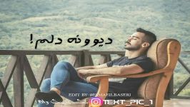 شهاب تیام دیوونه دلم تایپوگرافی