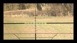 Weihrauch HW 100 .177 S 12ftlbs 200m shots