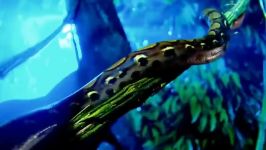 Snake versus gecko chameleon  savage battle of reptiles