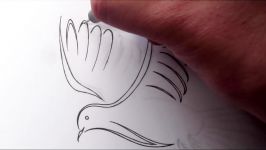 How To Draw a Tribal Dove Tattoo Design