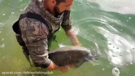 رها سازی ماهی کپور دریاچه چیتگرباملند