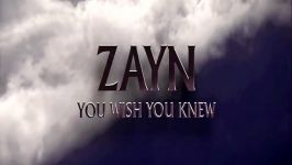 ZAYN  You Wish You Knew Audio