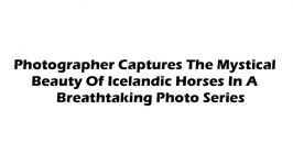 Photographer Captures The Mystical Beauty Of Icelandic Horses In A Breathtaking