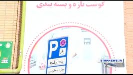 دلال بازی اینبار در بازار تنظیم قیمت گوشت