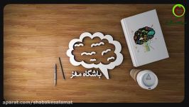 مغز نوزاد تازه متولد شده