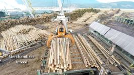 Logs to Lumber  An aerial journey through the sawmill