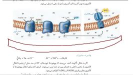 زیست سرعتی داری ابتکار خاص در تست ها اموزش ژنتیک 09149285452