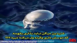 درددل شماره 11 صدای رامین بهارستانی،کاش میشد یکی باشه همیشه باشه،همین...