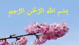 دعای نور حضرت فاطمه زهرا سلام الله علیها برای رفع بیمارها