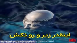 درددل شماره 33 صدای رامین بهارستانی،همه ما یه روز میمیریم،همین