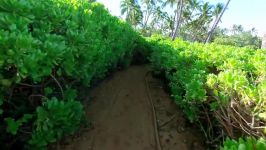 Wailea Beach Path Maui Hawaii DJI Osmo 4K