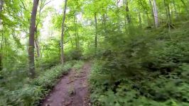 Clifton Gorge Trail Run