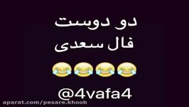 4VAFA4 دو دوست فال سعدی