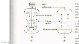 بیوراکتور ستون حبابی bubble column