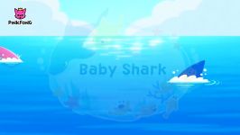 Bayi Shark I Lagu untuk Anak anak