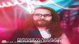 Mohammad Soorati  Parandeye Mohajer محمد صورتی  پرنده مهاجر 